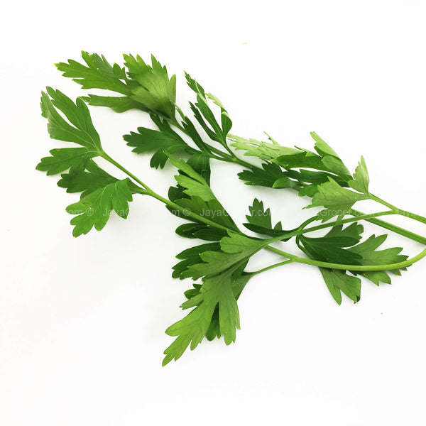 Genting Garden Italian Parsley Leaves (Malaysia) 10g (highest price)
