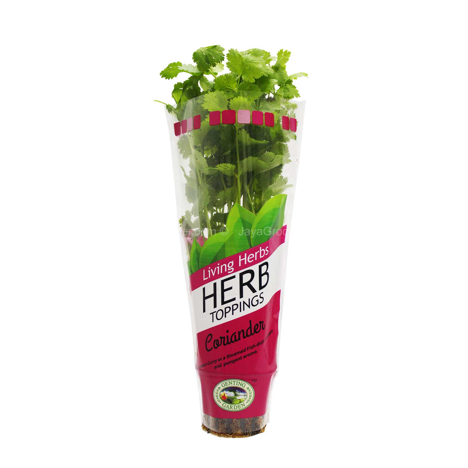 Genting Garden Living Herbs Herb Toppings Coriander 1pack