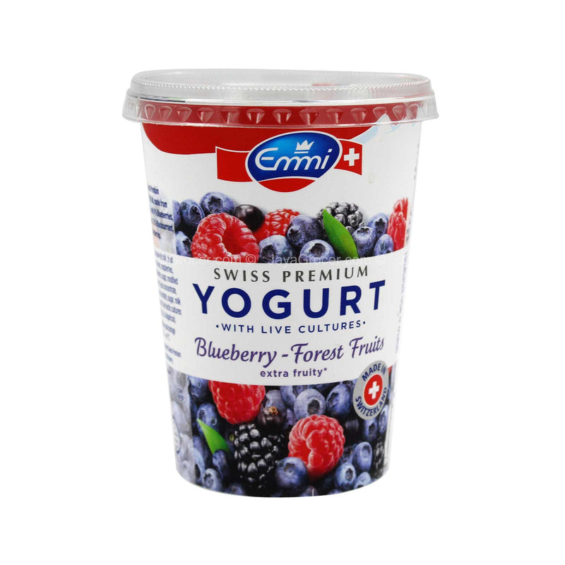Emmi Blueberry  Fruit Forest Premium Yogurt 450g