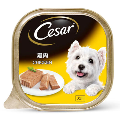 Cesar Chicken Wet Dog Food 100g
