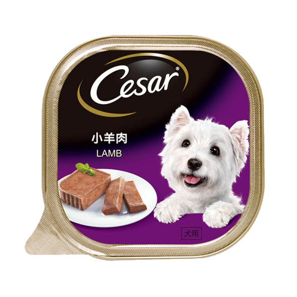 Cesar Lamb Wet Dog Food 100g (highest price)