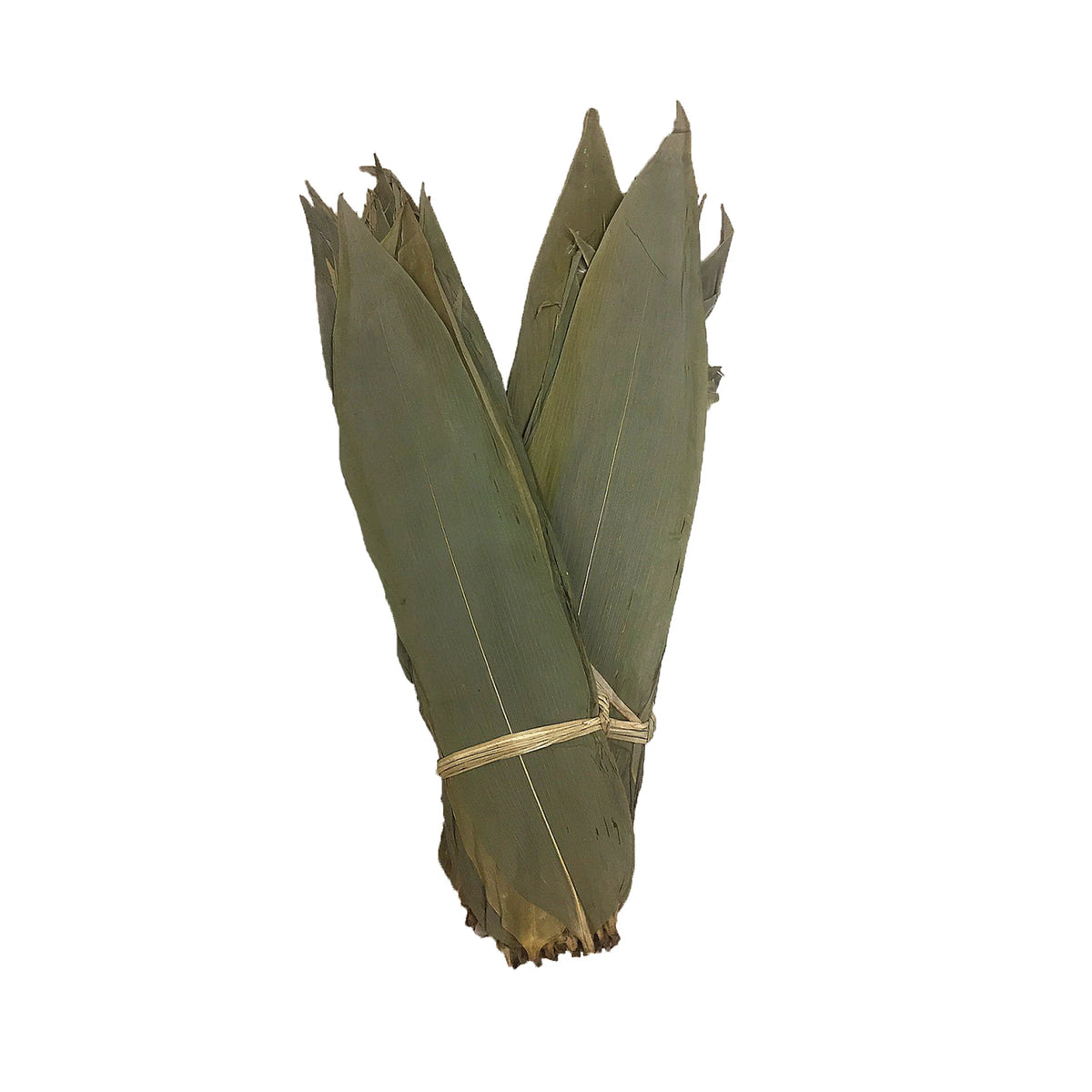 Bamboo Leaves 10cm 1pack