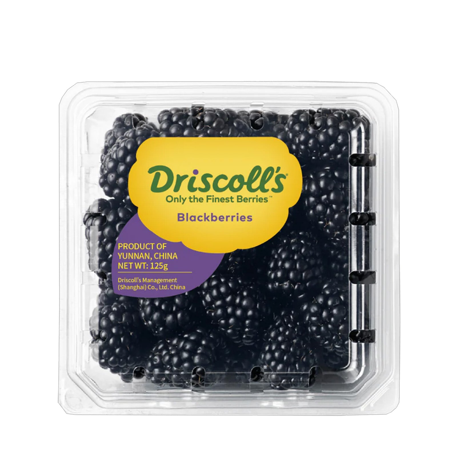Driscolls Blackberry 125g