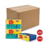 Tender Soft 2ply Facial Tissue 90sheets x 4