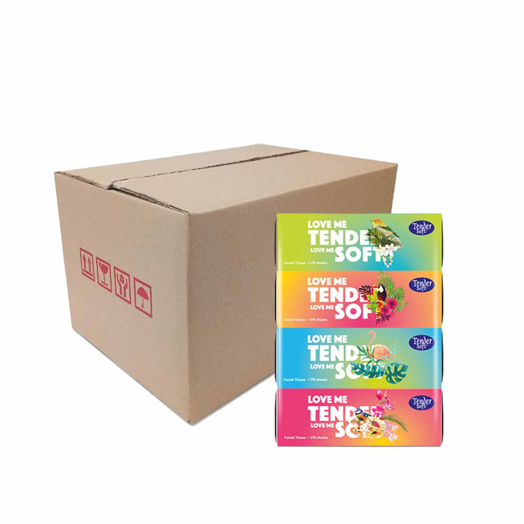 Tender Soft 2ply Facial Tissue 170sheets x 4