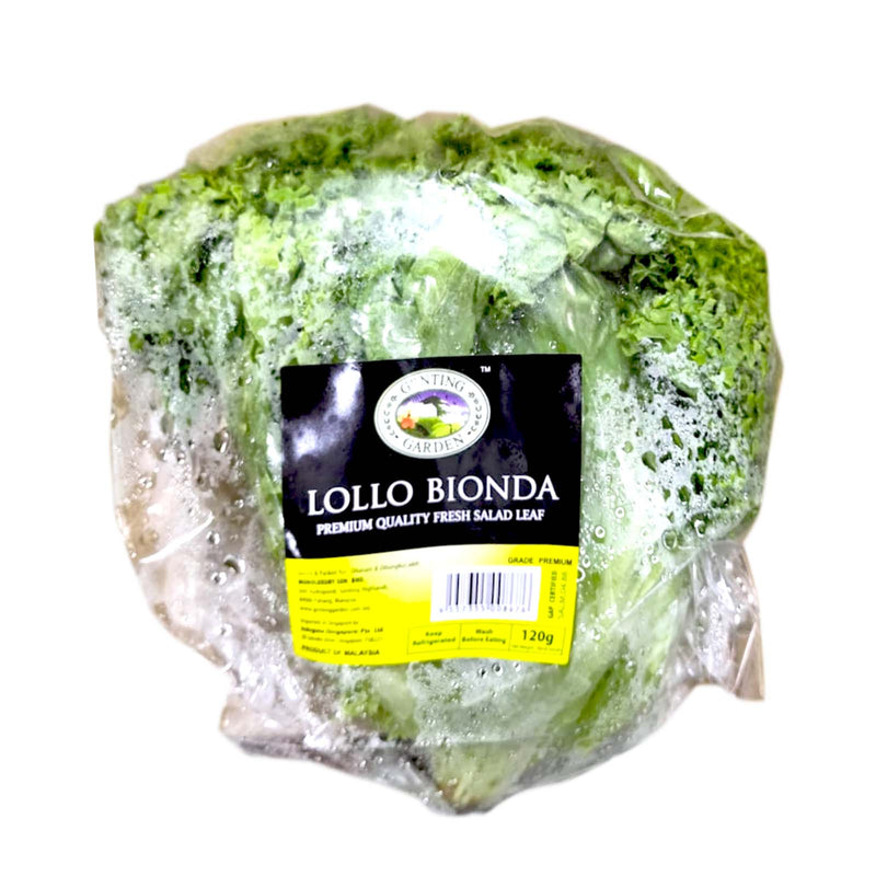 Genting Garden Lollo Bionda Lettuce 120g