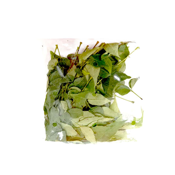Curry Leaf (Daun Kari) 25g (highest price)
