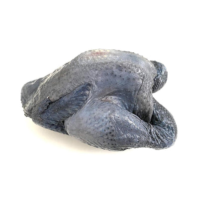 Black chicken 1unit