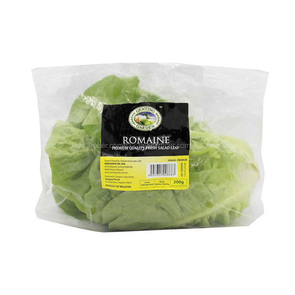 Genting Garden Romaine Lettuce (Malaysia) 300g (highest price)