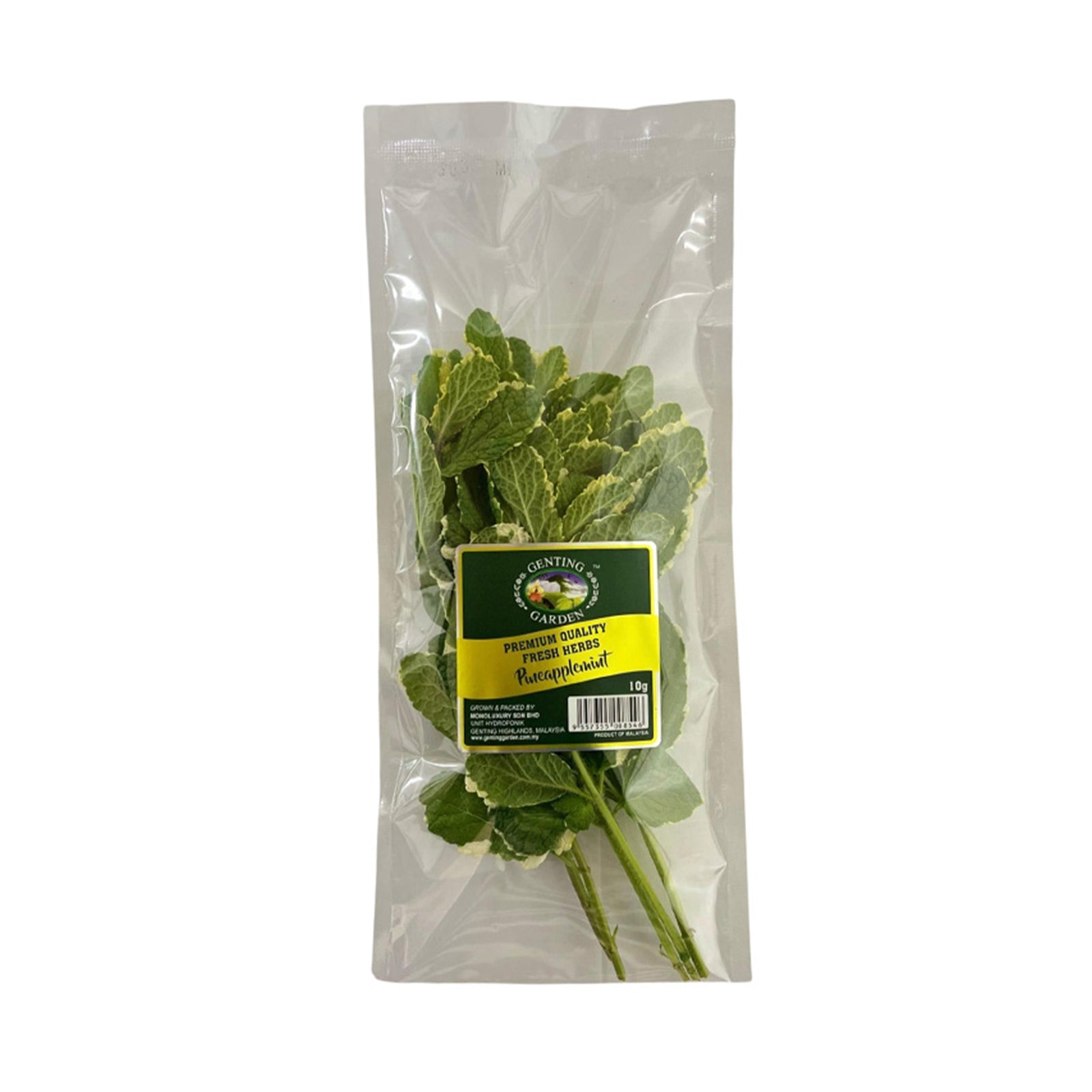 Genting Garden Pineapple Mint Leaves 10g