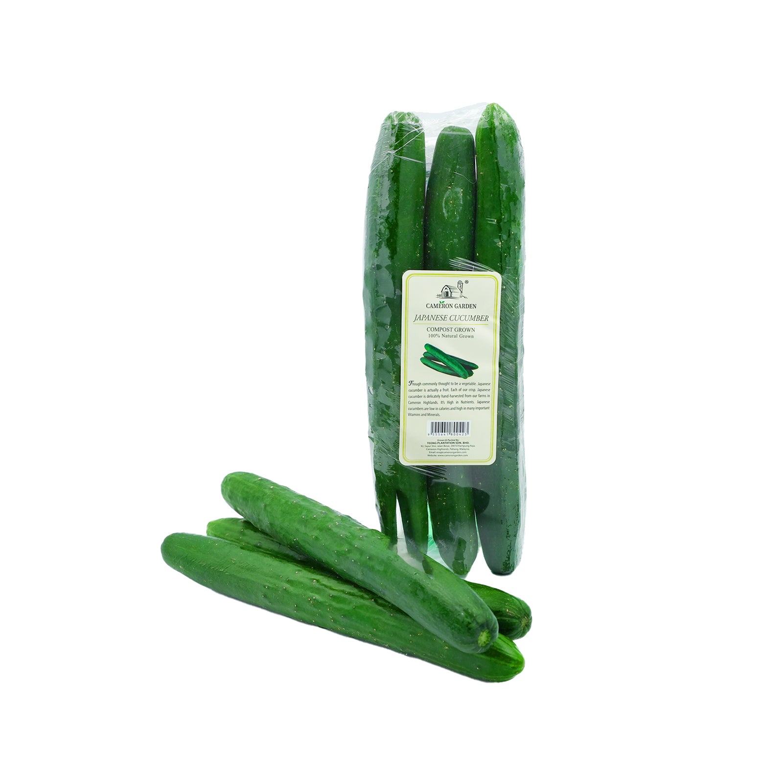 Cameron Garden Japanese Cucumber (Kyuri) (Malaysia) 3pcs/pack