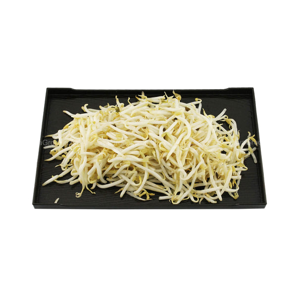 Bean Sprout (Taugeh) 500g (highest price)