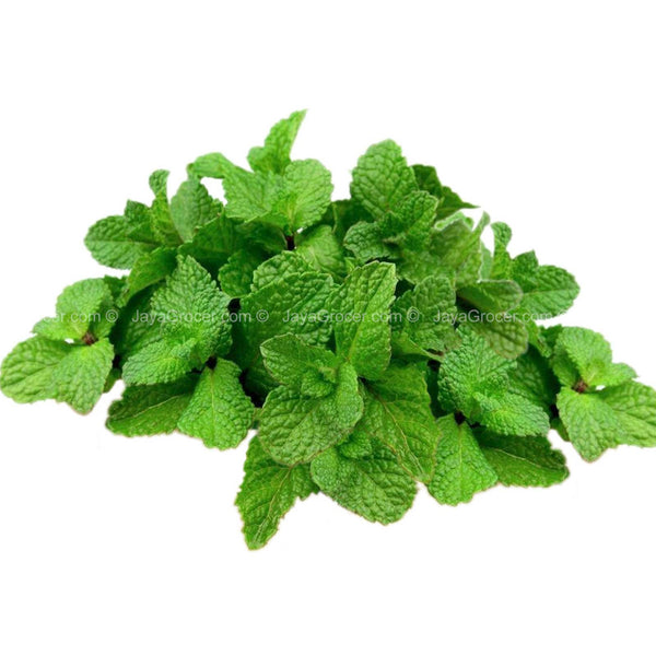 Cameron Garden Mint Leaf (Malaysia) 100g (highest price)