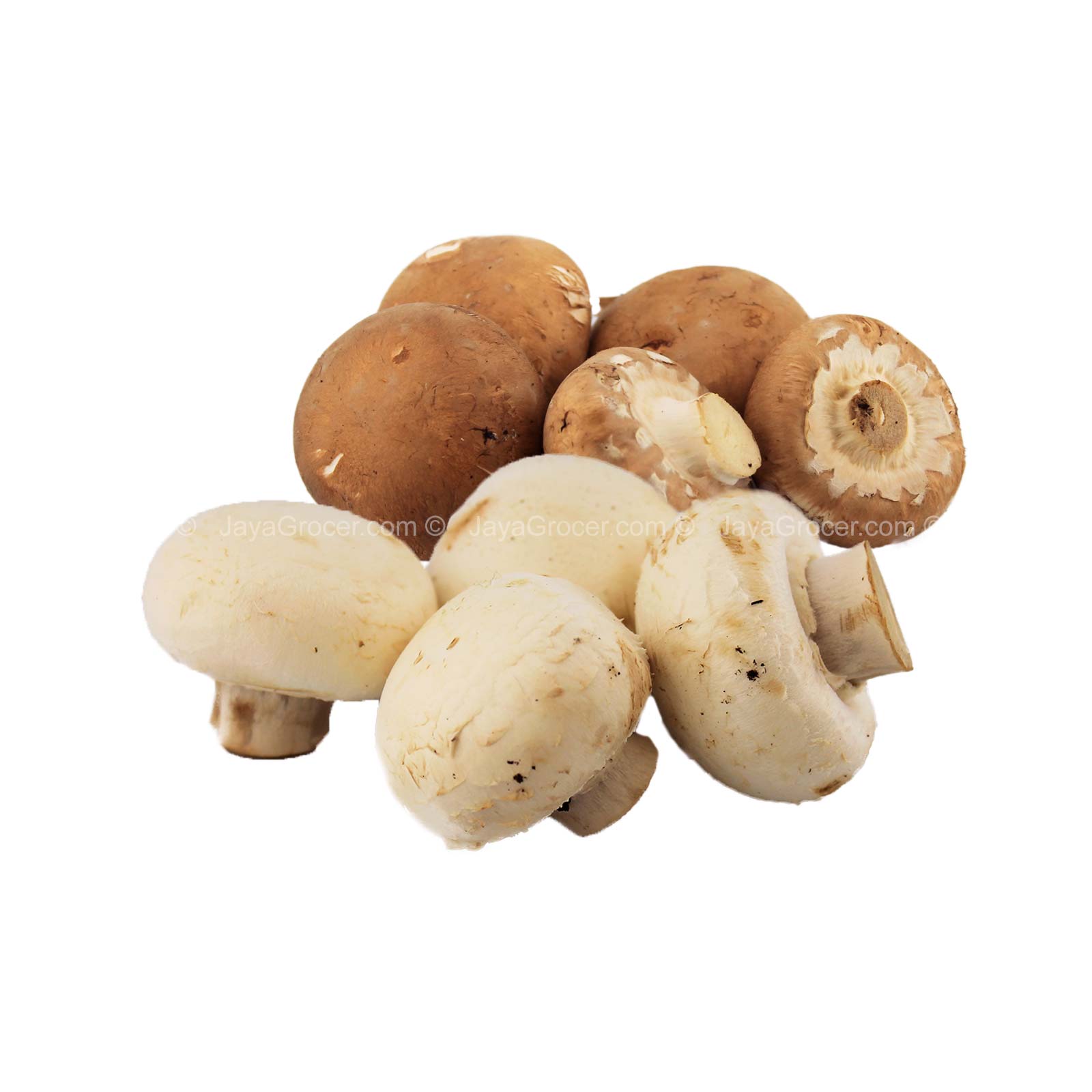 Mushroom-Cp Premium 2 In 1 (Malaysia) 250g