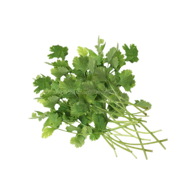 Coriander (Ketumbar) (Malaysia) 50g (highest price)