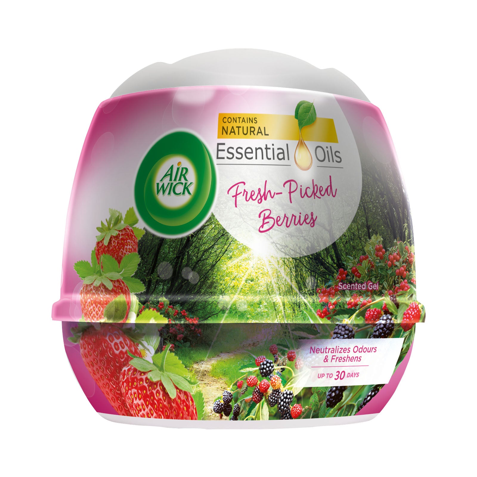 Air Wick Standard Gel Cone FreshPicked Strawberry 180g