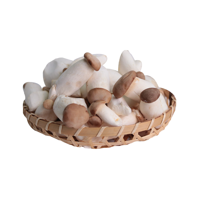 GS Mini King Eryngii Mushroom (China) 250g