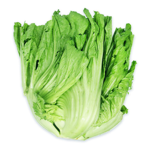 Cameron Garden Probiotic Chinese Mustard (Kai Choy) (Malaysia) 280g (highest price)