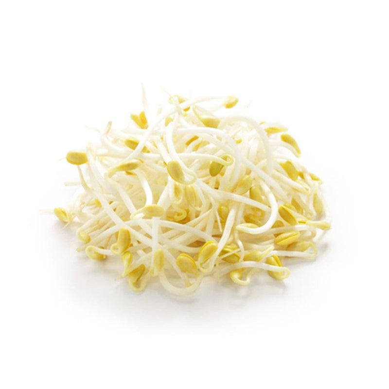 Favric Trading Bean Sprout (Taugeh Besar) (Malaysia) 500g