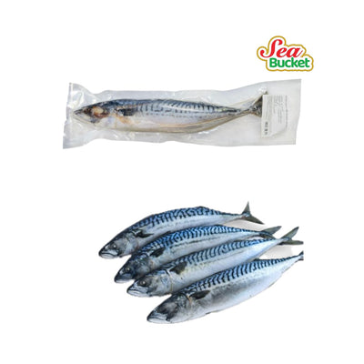 Magic Seafood Whole Saba Mackerel 600g