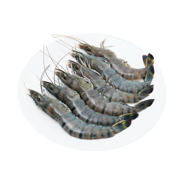 Tiger Prawn/ Udang Harimau XL 300g (highest price)