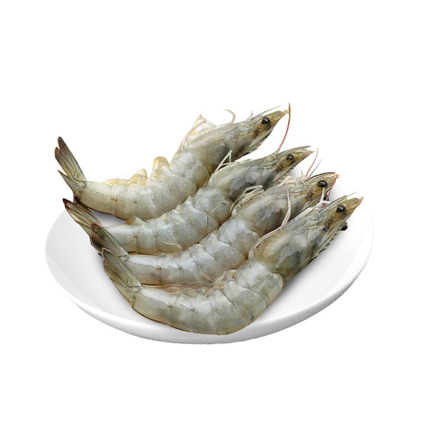 White Prawn/Udang Minyak Putih L 300g (highest price)