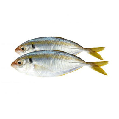 Ikan Selar 500g/pack