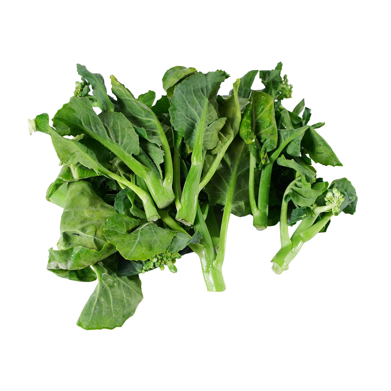 Hong Kong Baby Kailan (Chinese Broccoli) (China) 200g