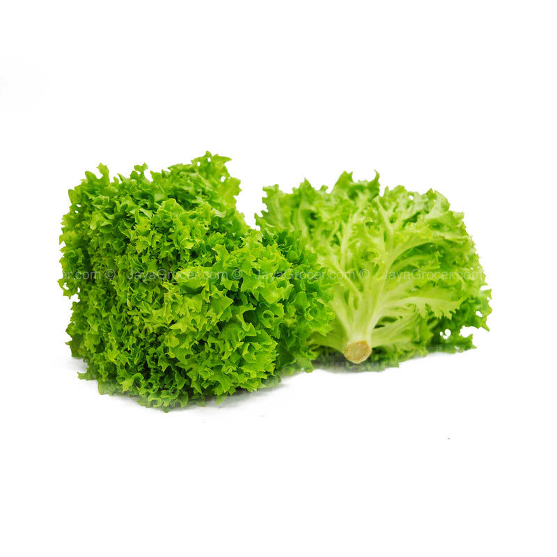 Paprika Farm Green Coral Lettuce (Malaysia) 200g