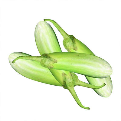 Terung Telunjuk