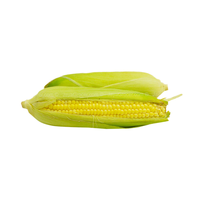 Sweet Corn (Malaysia) 2pcs/pack