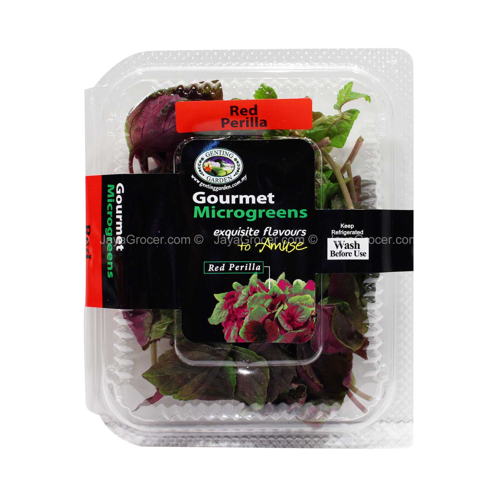 Gourmet Microgreens Red Perilla 10g