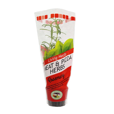 Genting Garden Living Herbs Meat and Pizza Herbs Rosemary 1pack