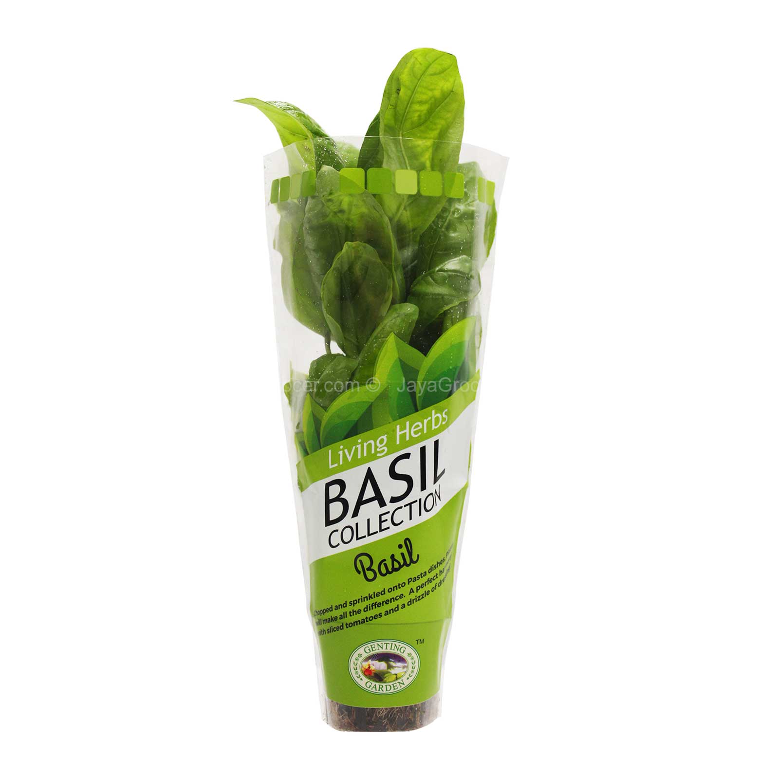 Genting Garden Living Herbs Basil Collection Basil 1pack
