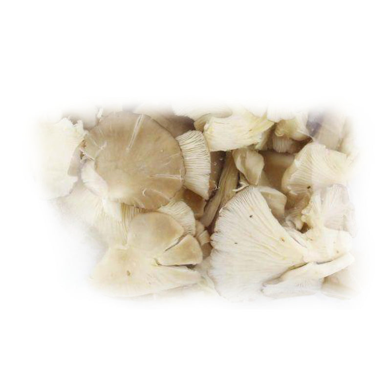 Grey Oyster Mushroom (Malaysia) 200g